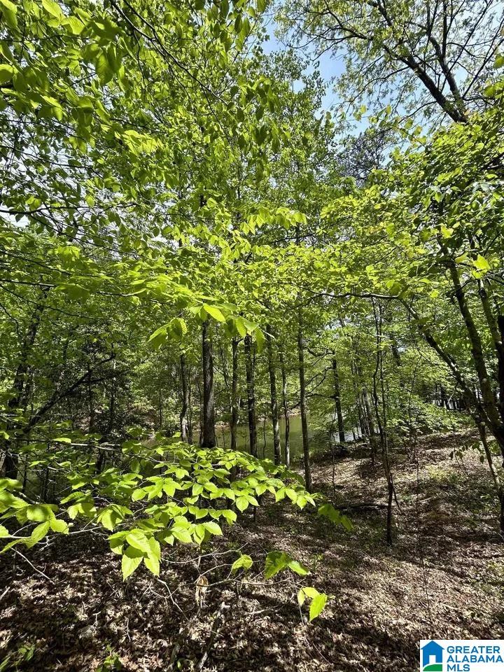 Lots 123 RED CEDAR DRIVE 123