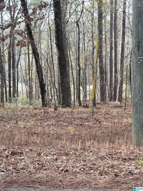 0 RENFROE ROAD 5 ALPINE AL 35014