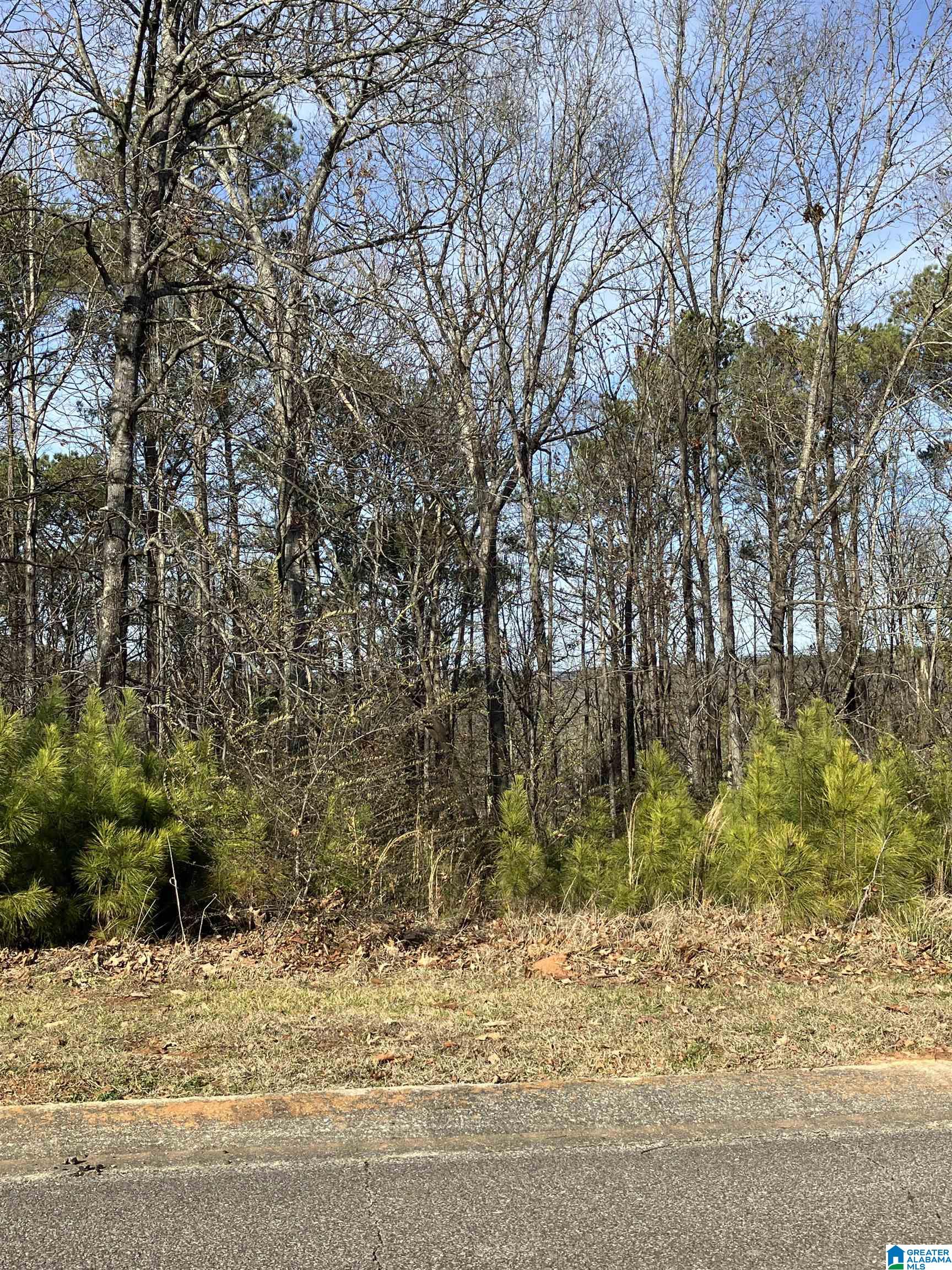 Photo 1 of 1 — 11 WOODLAND HILLS 11, SPRINGVILLE, AL 35146