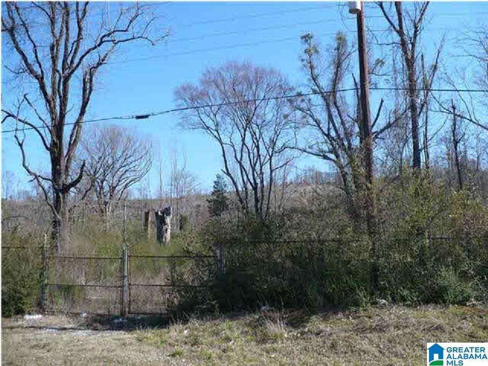 5061 PINSON VALLEY PARKWAY 0