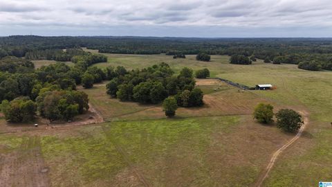 6040 E HIGHWAY 28 0 PINE APPLE AL 36768