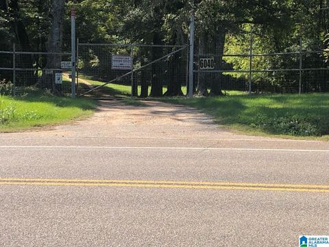 6040 E HIGHWAY 28 0 PINE APPLE AL 36768