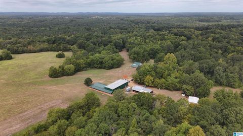 6040 E HIGHWAY 28 0 PINE APPLE AL 36768