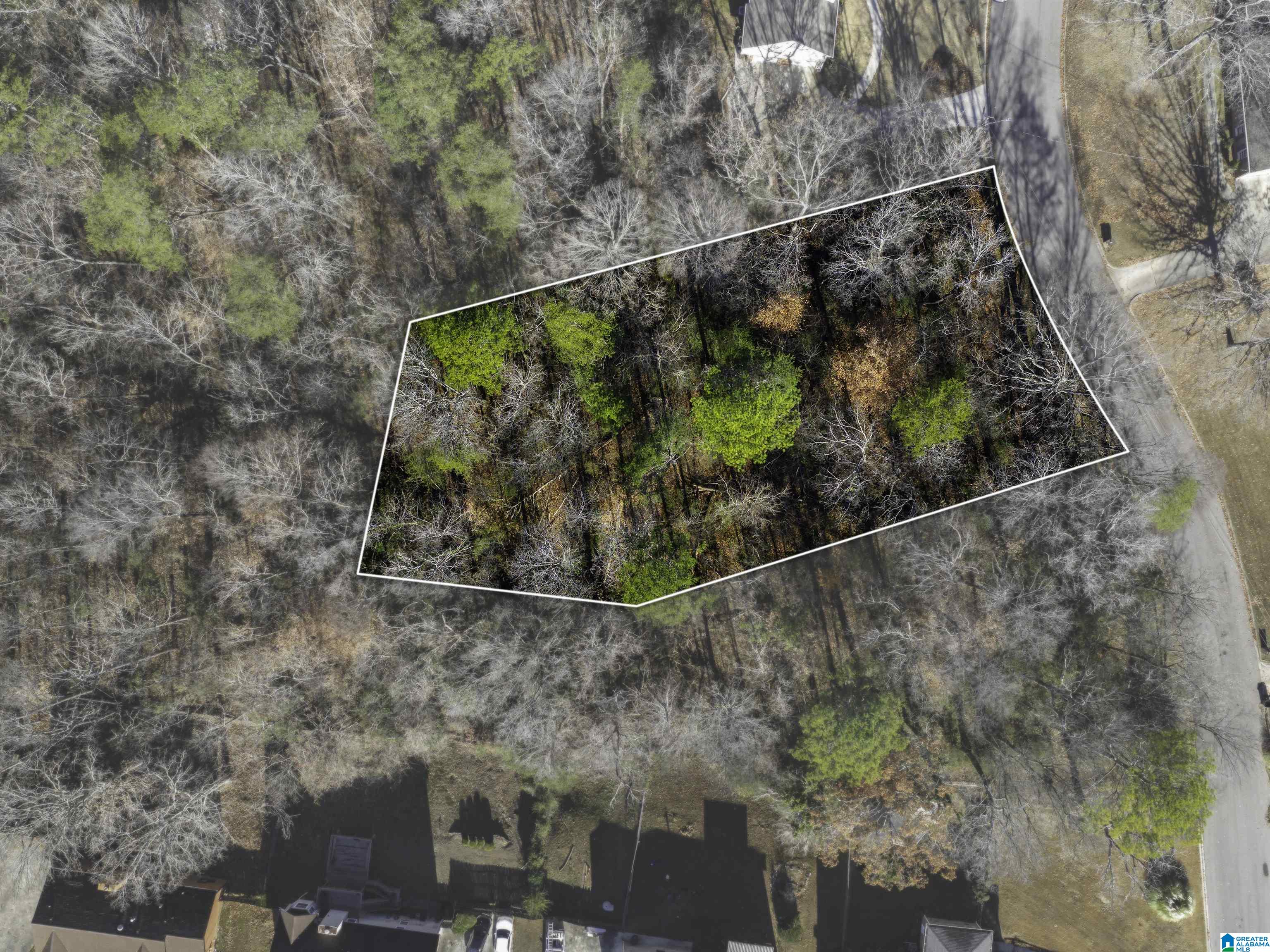 Photo 1 of 16 — 1024 TIMBERLINE TRAIL 12, BIRMINGHAM, AL 35215
