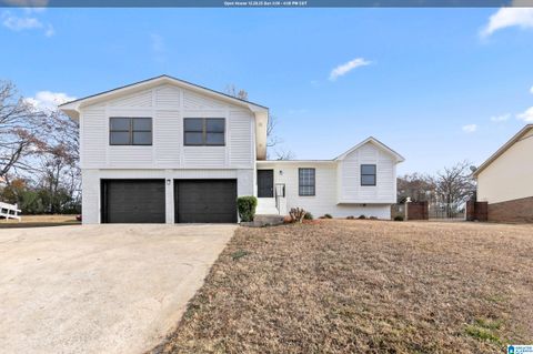 13 ROYAL COACH CIRCLE BESSEMER AL 35022