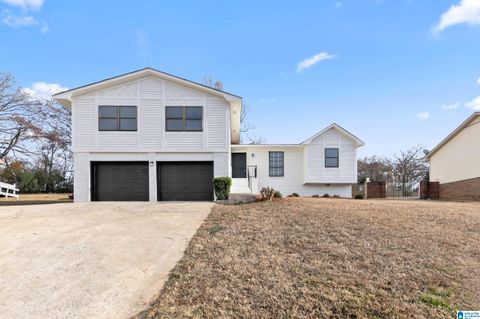 13 ROYAL COACH CIRCLE BESSEMER AL 35022