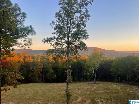 2561 KENTUCK ROAD MUNFORD AL 36268