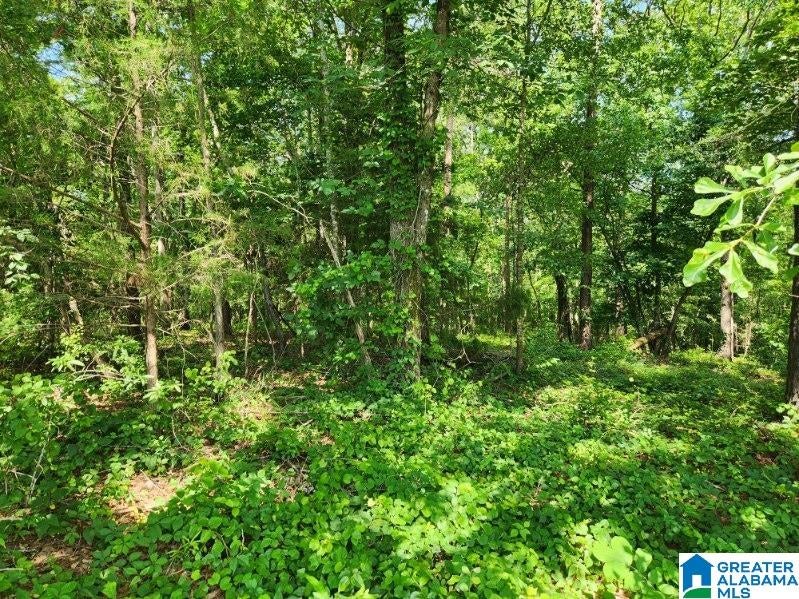 Lot 17 BROOKWATER POINTE Lot 17