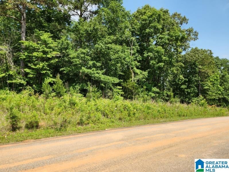 Lot 17 BROOKWATER POINTE Lot 17