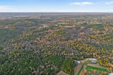 COUNTY ROAD 328 1 MAPLESVILLE AL 36006