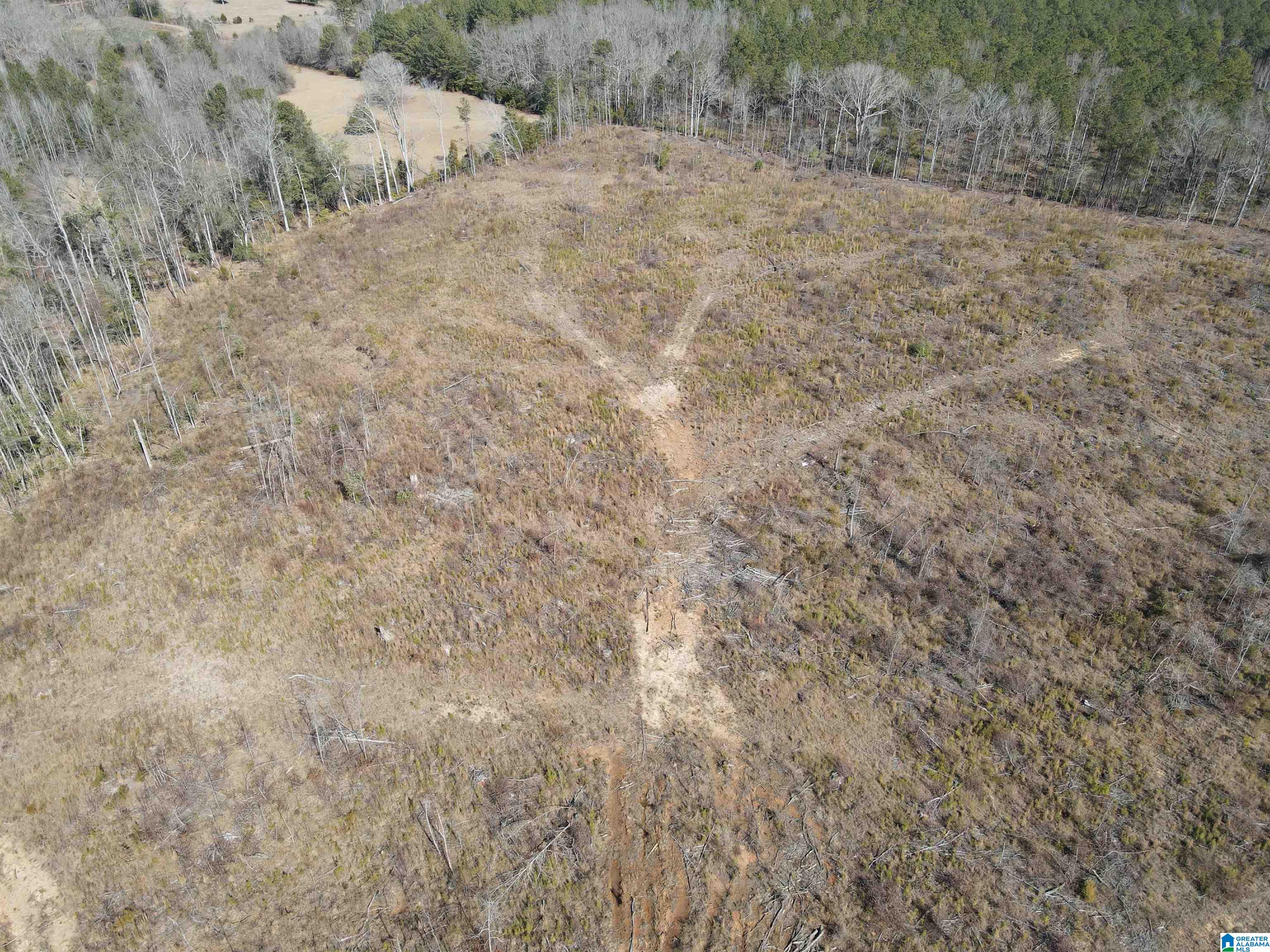 0 COUNTY ROAD 36 20 acres