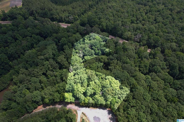 0 WEATHERTON TRAIL # 4, HARPERSVILLE, AL 35078 - Image bbd005d56260fdbc81bdaadd1f42eb38/1440720261