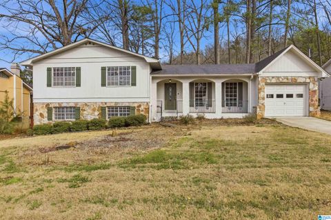 1427 FARMINGTON ROAD BIRMINGHAM AL 35235