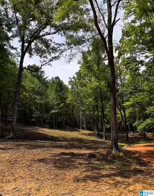 377 MAGNOLIA LN, PELL CITY, AL 35128 - Image bc1584d96261c81558e9da863beed7d6/281908437