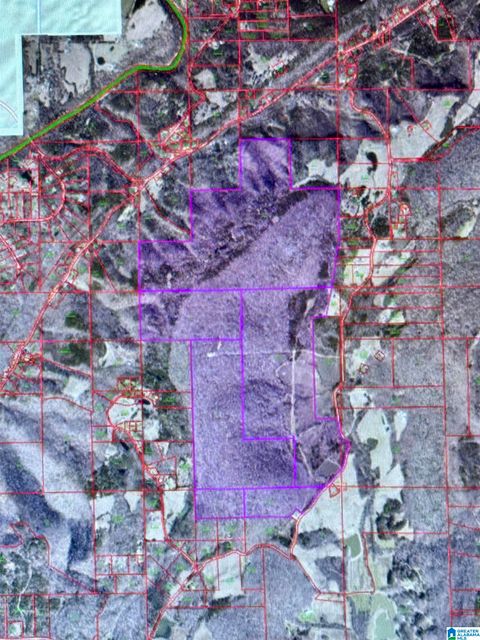 0 GUINNS COVE ROAD 1 HAYDEN AL 35079