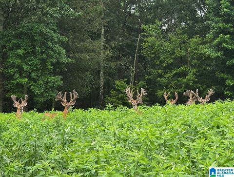 0 GUINNS COVE ROAD 1 HAYDEN AL 35079