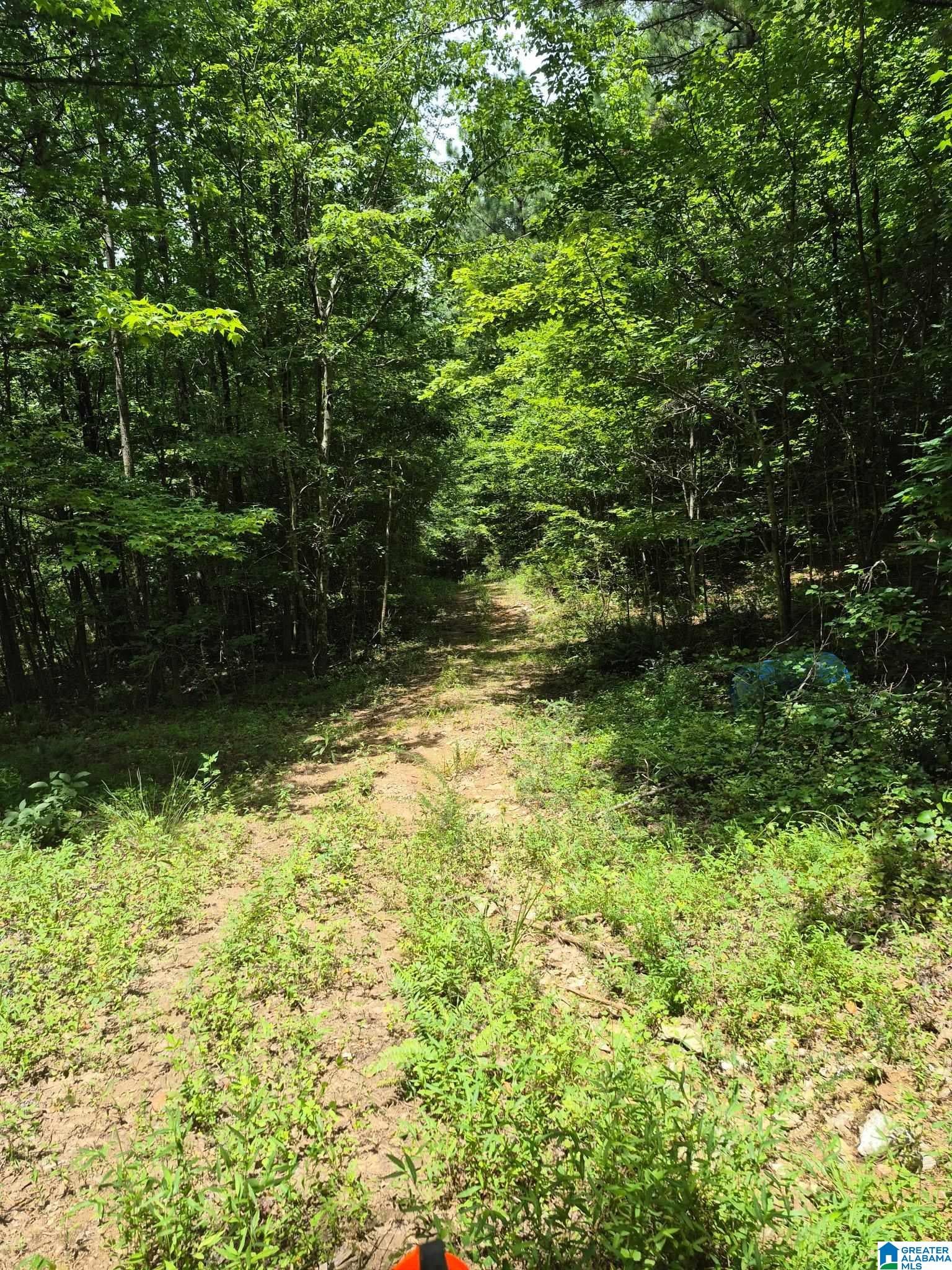 0 COUNTY ROAD 928 28