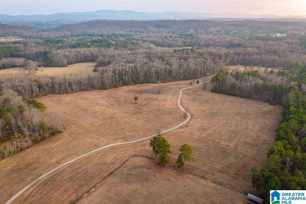LOT 5 CEDAR SPRINGS DRIVE LOT 5