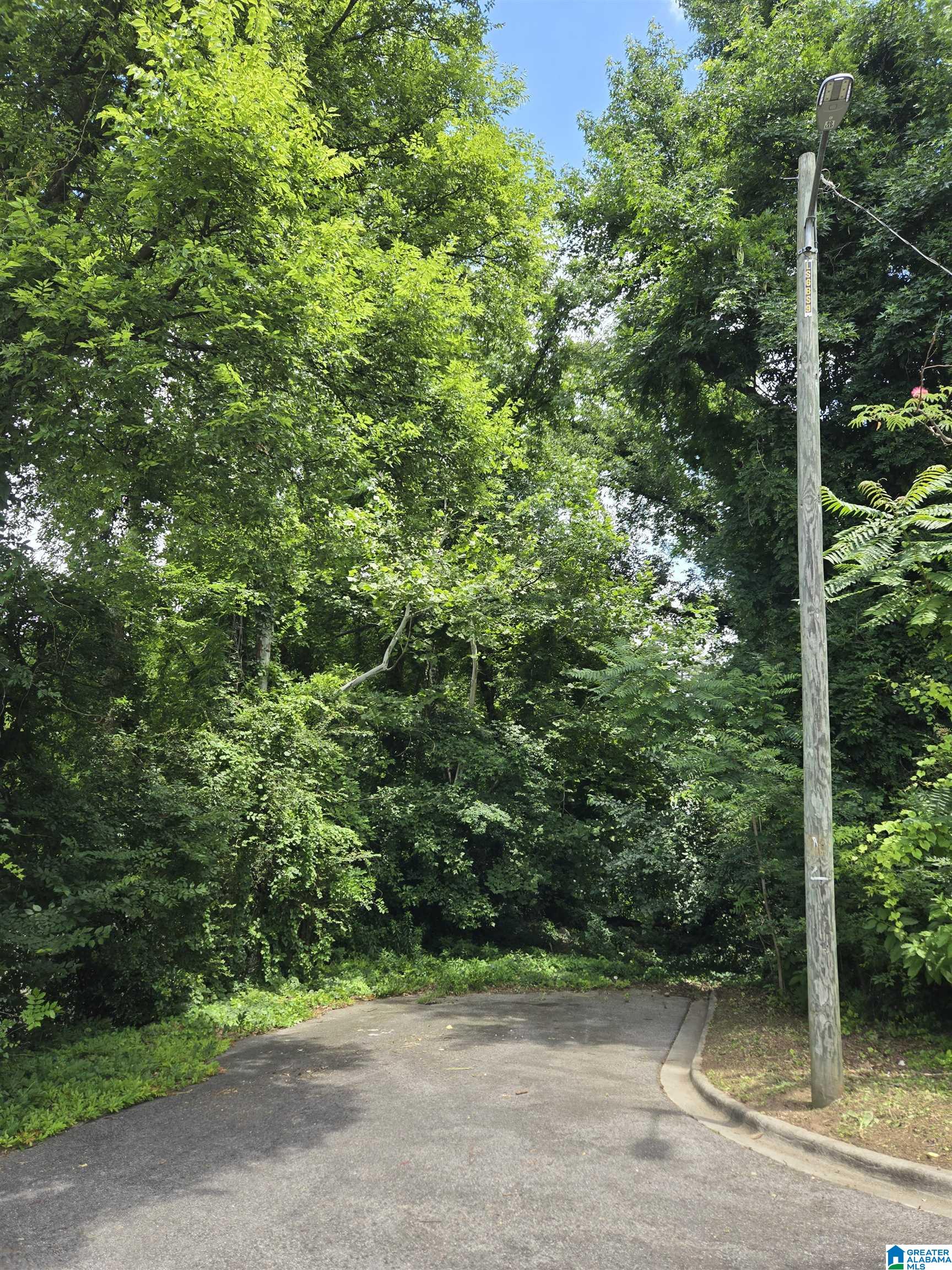 Photo 1 of 1 — 2505 17TH PLACE S 1, HOMEWOOD, AL 35209