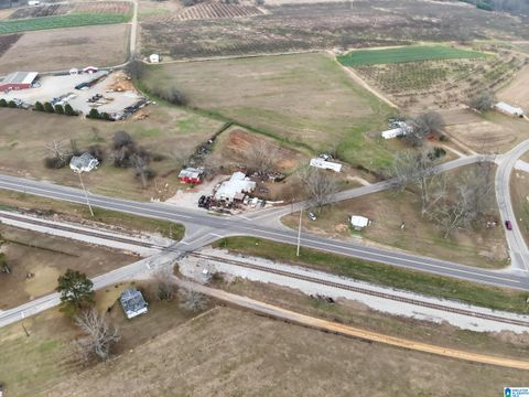 10325 COUNTY ROAD 29 CLANTON AL 35085