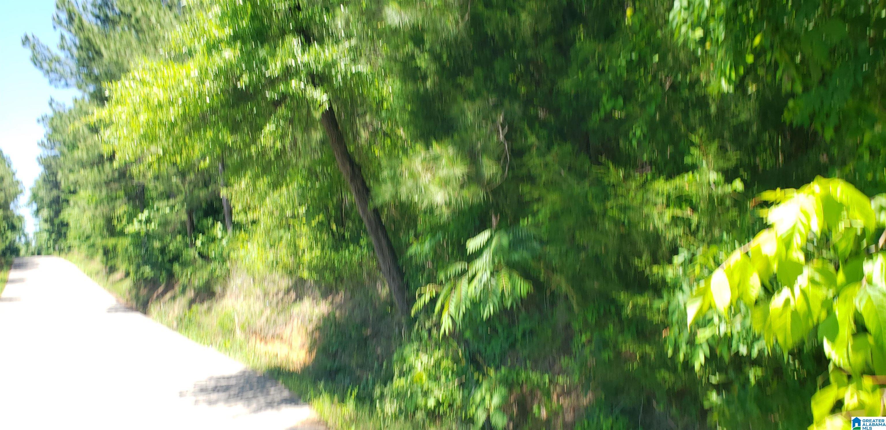 MOUNTAIN STREET 1