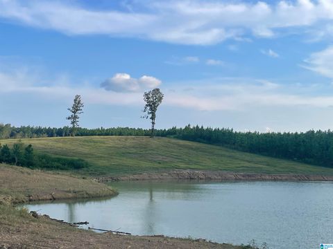 3679 CHELSEA ROAD 1 COLUMBIANA AL 35051