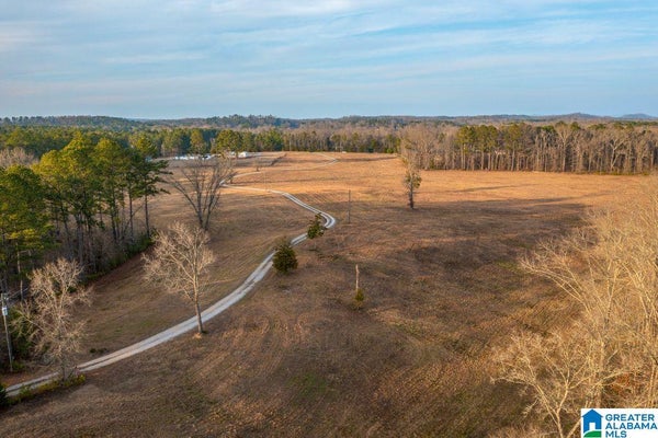 9 CEDAR SPRINGS DR LOT, JACKSONVILLE, AL 36265 - Image be9fe3c5d15ccec8f3899028e16a4992/3886973345