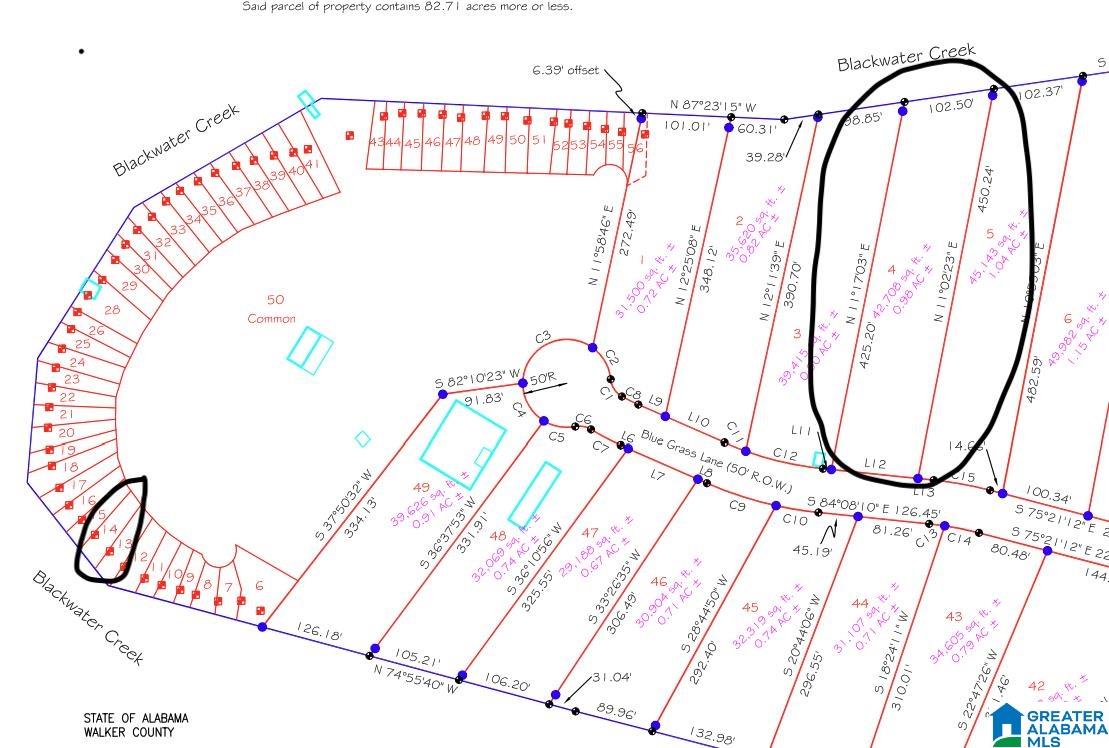 Lot 4 BLUEGRASS LANE 4