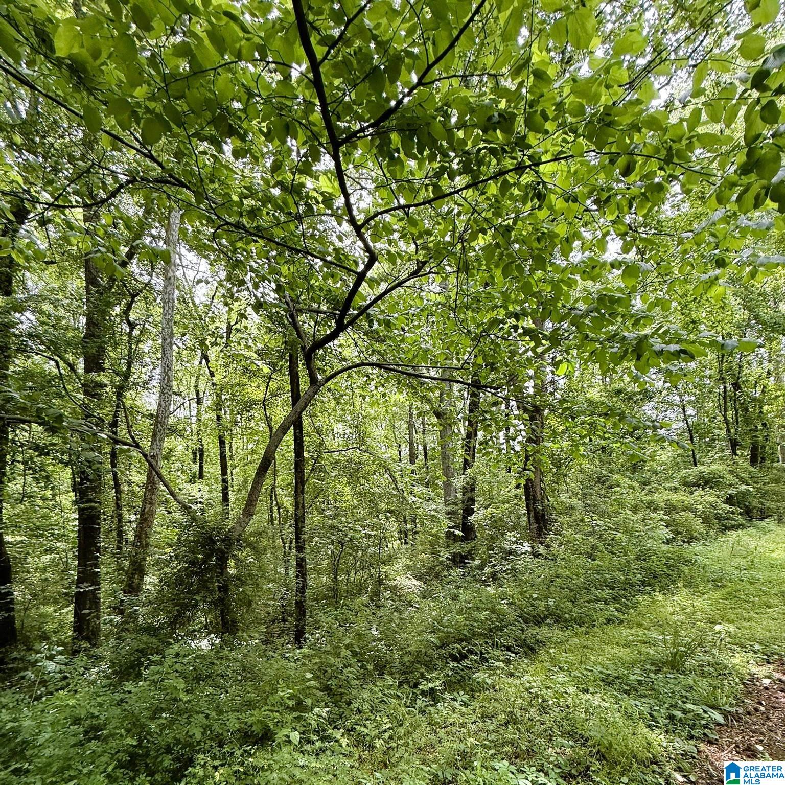 0 POPLAR TRAIL 1