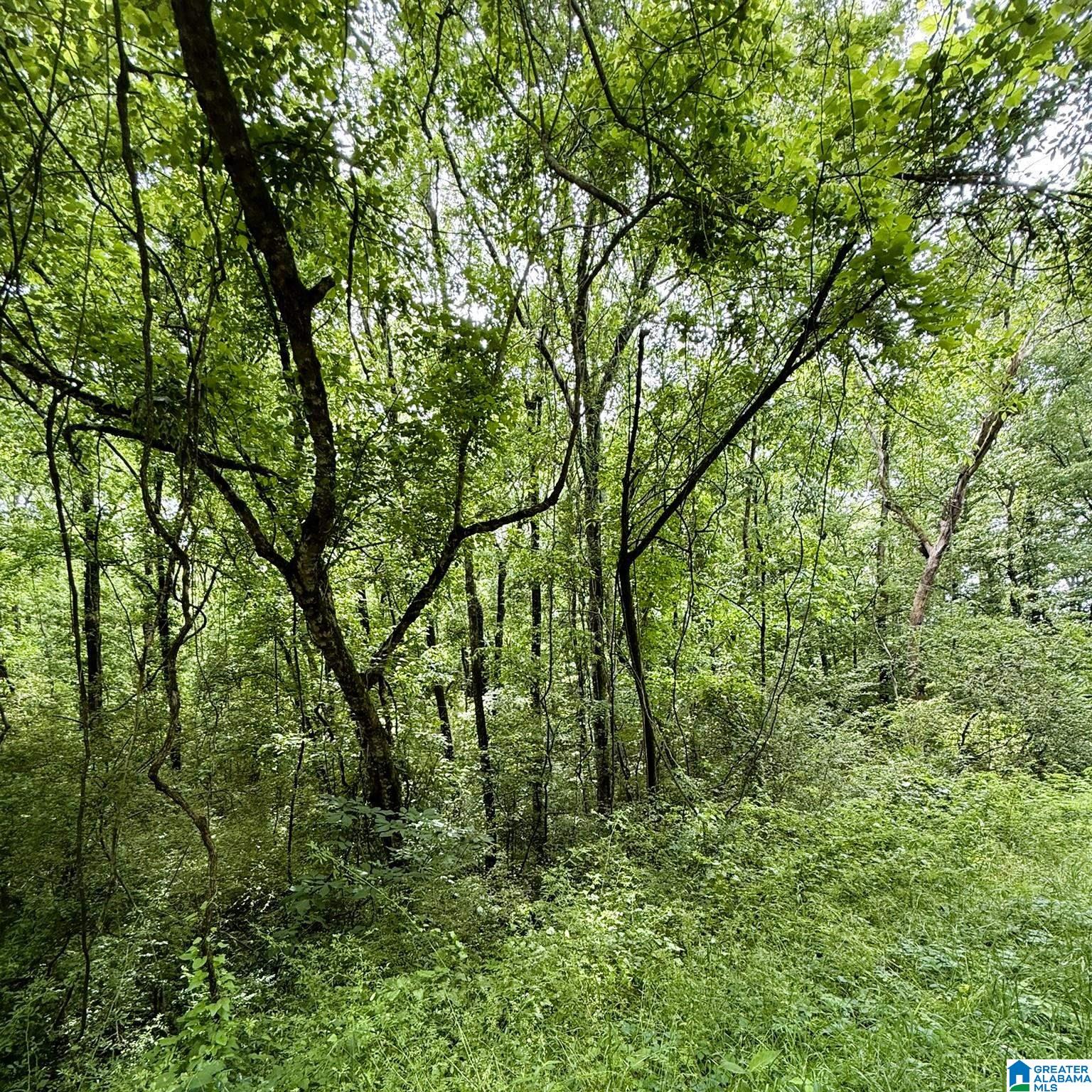 0 POPLAR TRAIL 1