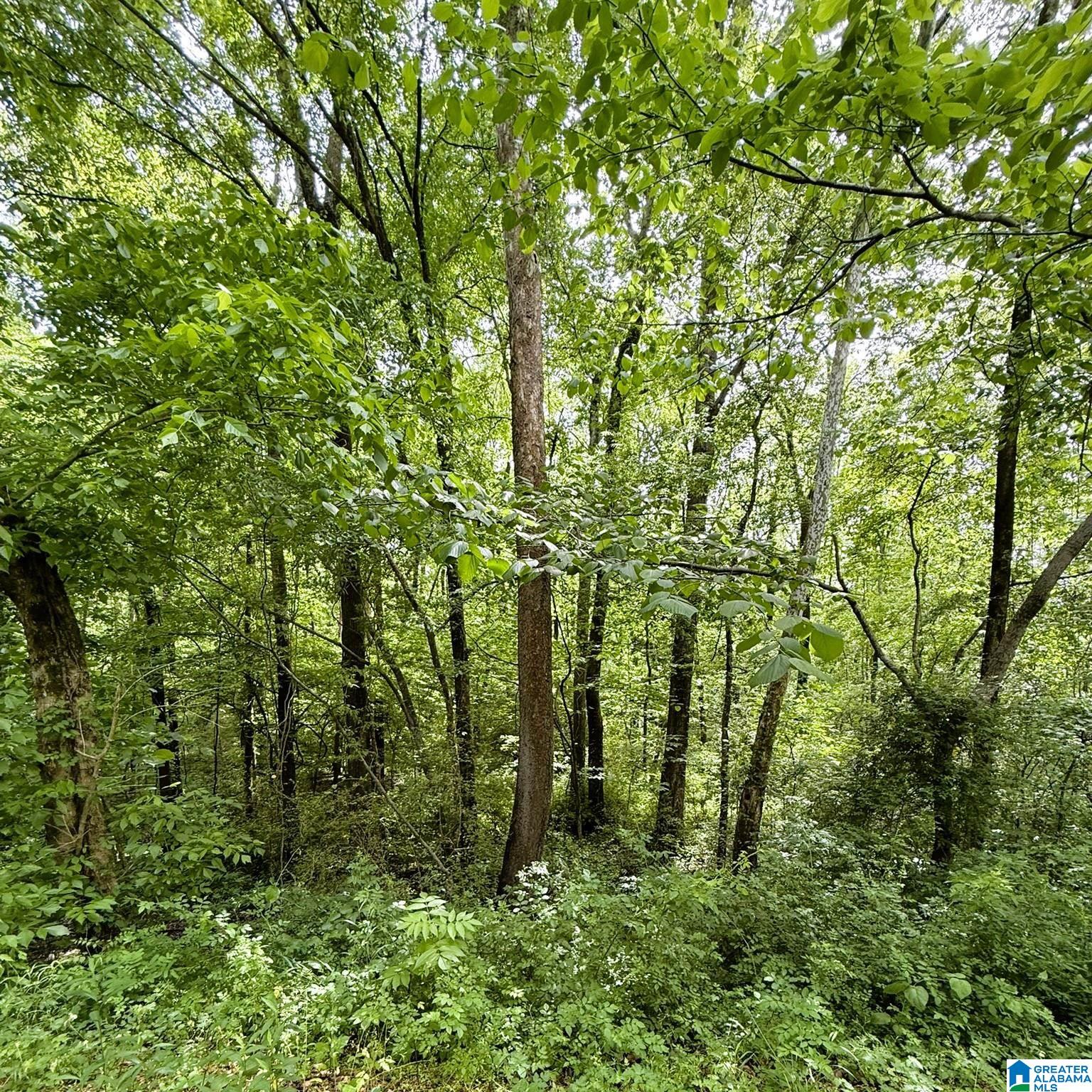 0 POPLAR TRAIL 1