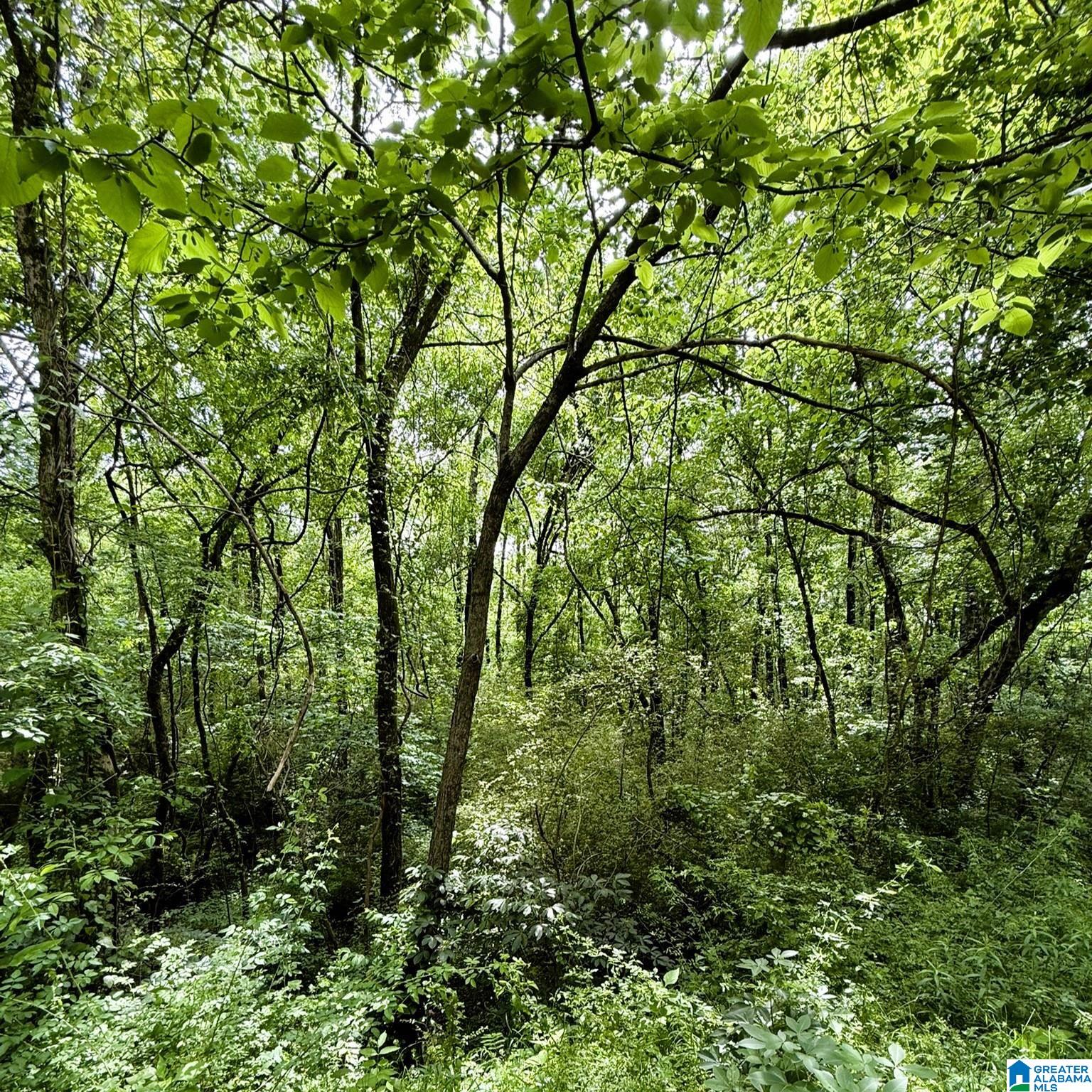 0 POPLAR TRAIL 1