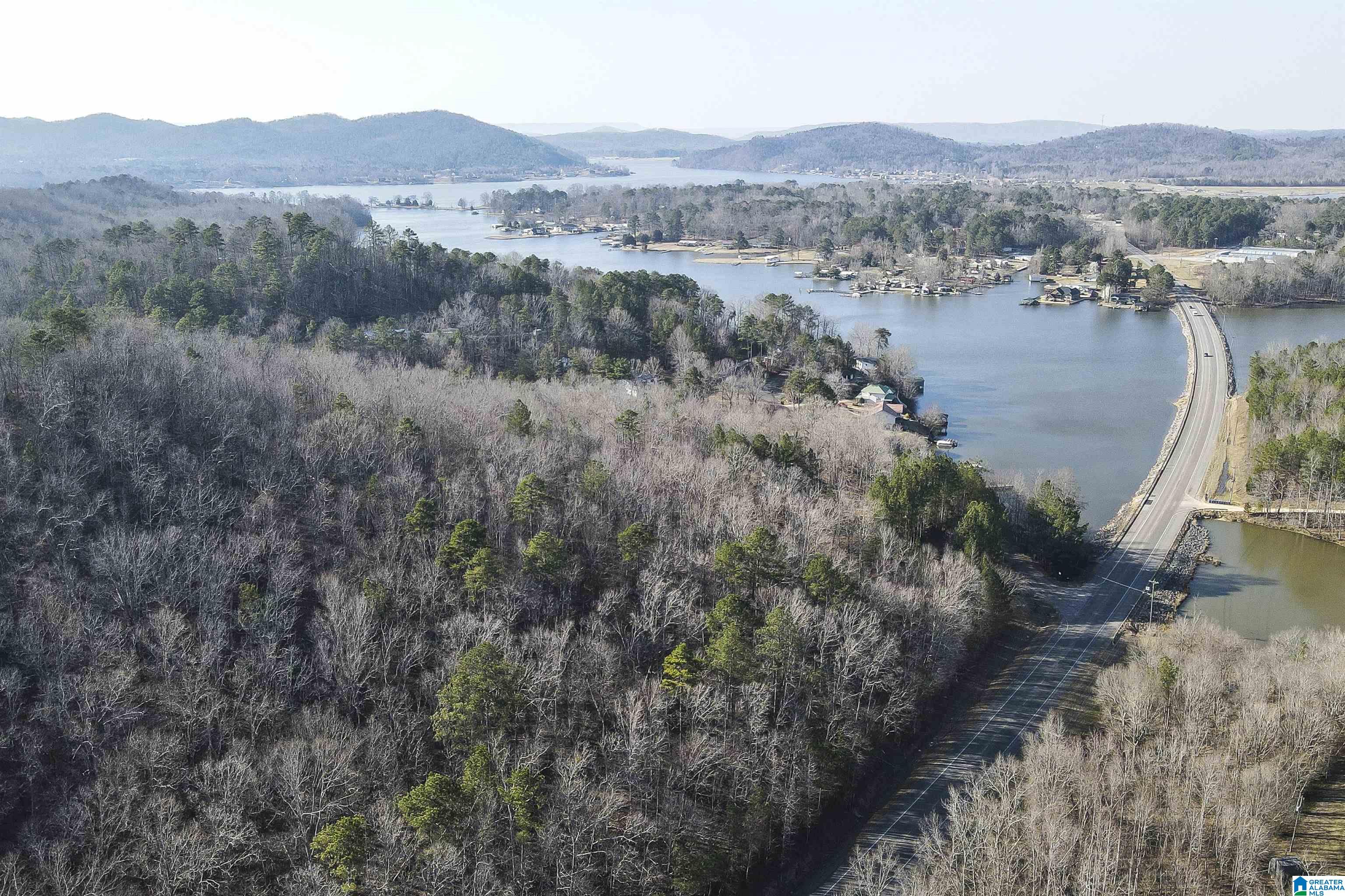 Photo 1 of 28 — 15 MOHAWK TRAIL 4 ac., OHATCHEE, AL 36271