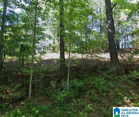 KIOWA RD, REMLAP, AL 35133 - Image bf7d46aeeadd76a63c3a028b52aaa4bb/3493184201