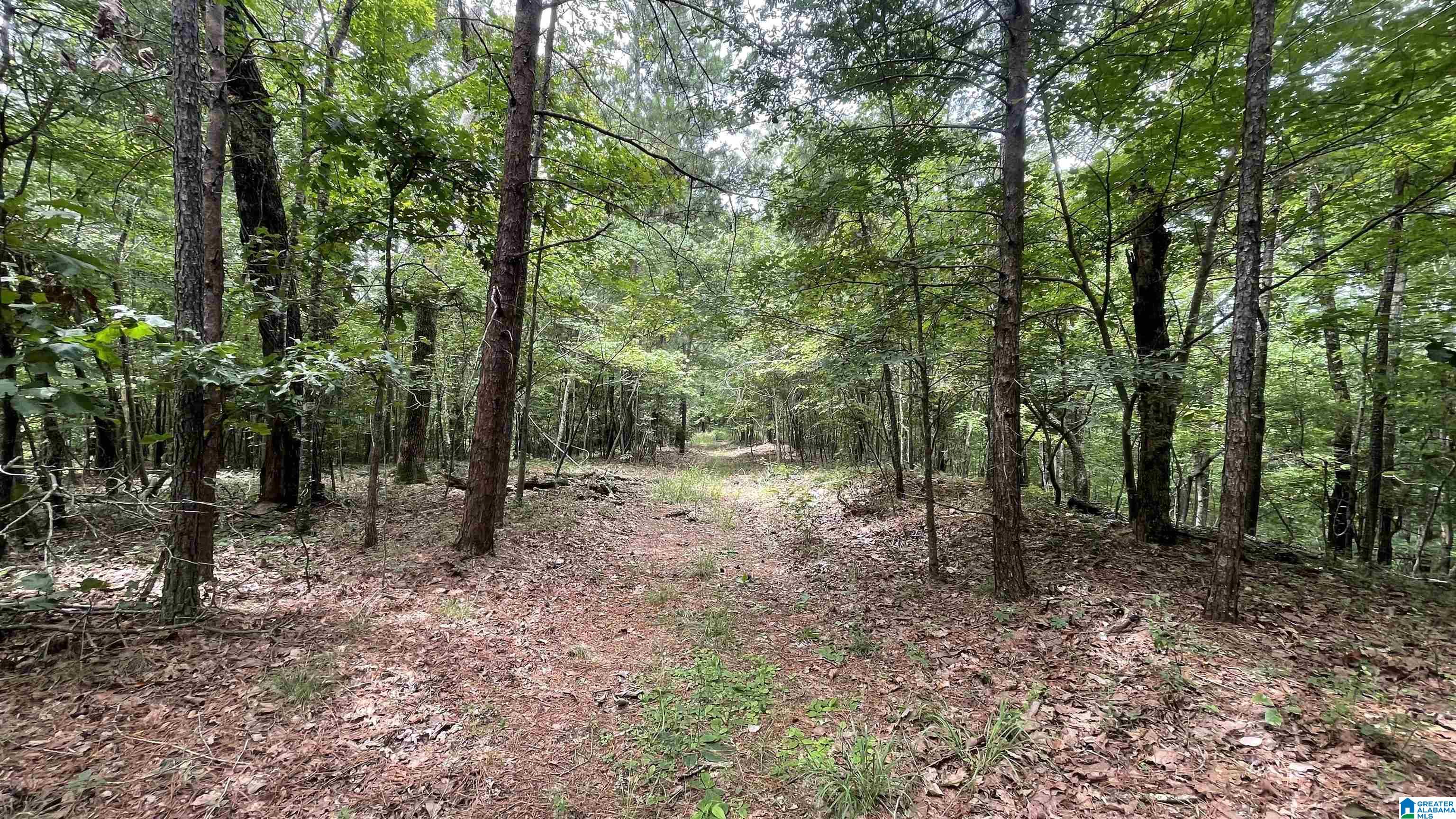 Photo 1 of 8 — 5020 LAUREL LAKES TERRACE 0, BESSEMER, AL 35022