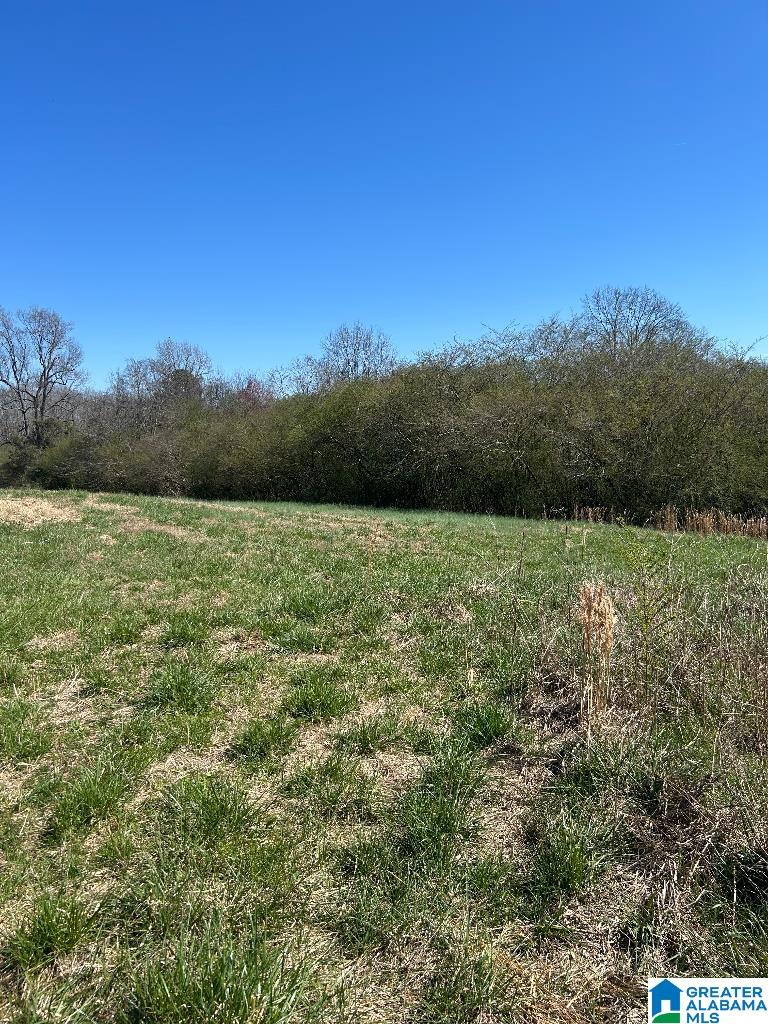 2040 COUNTY ROAD 1338 0