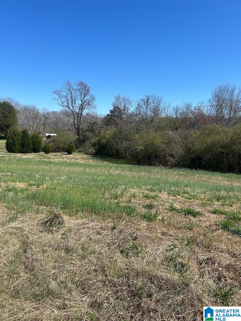 2040 COUNTY ROAD 1338 0