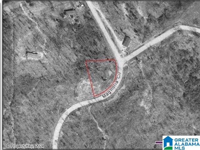 Photo 1 of 1 — 0 MAGNOLIA CIRCLE 9, CROPWELL, AL 35054