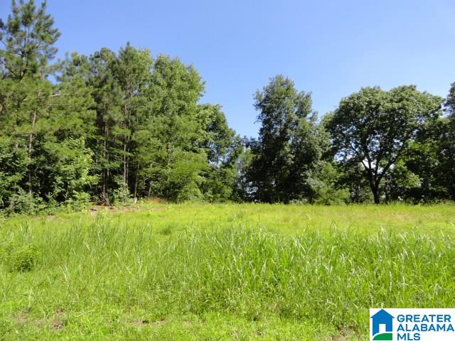 3290 HILLCREST PLACE 7