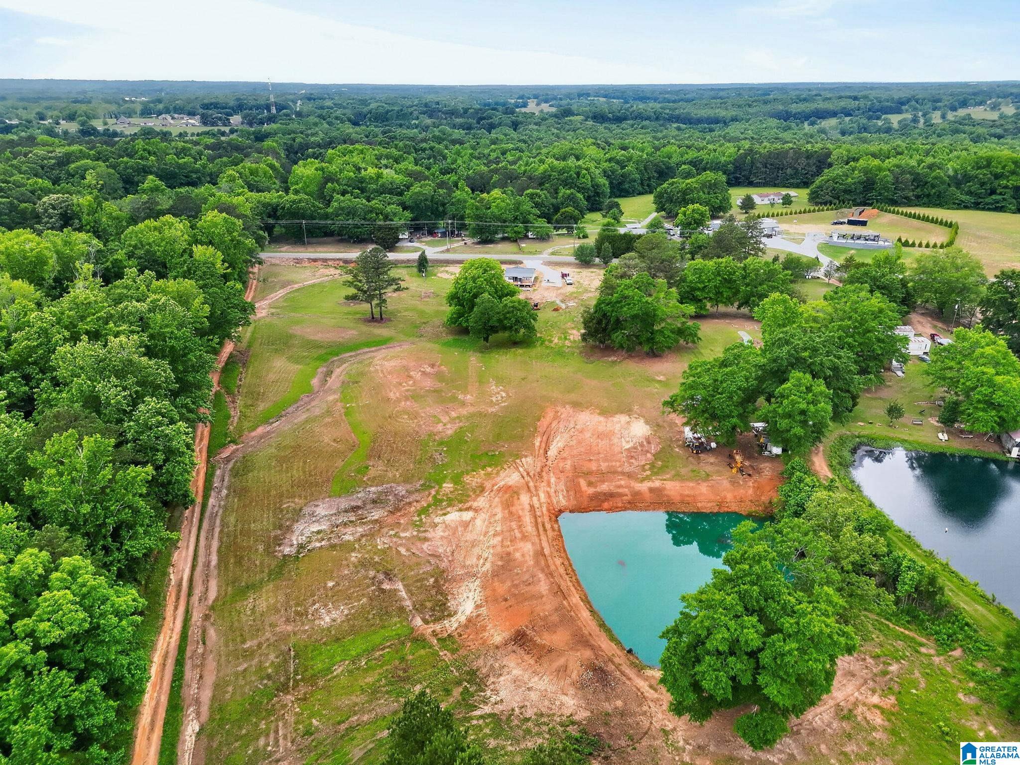 0 COUNTY ROAD 491 1 - Photo 4