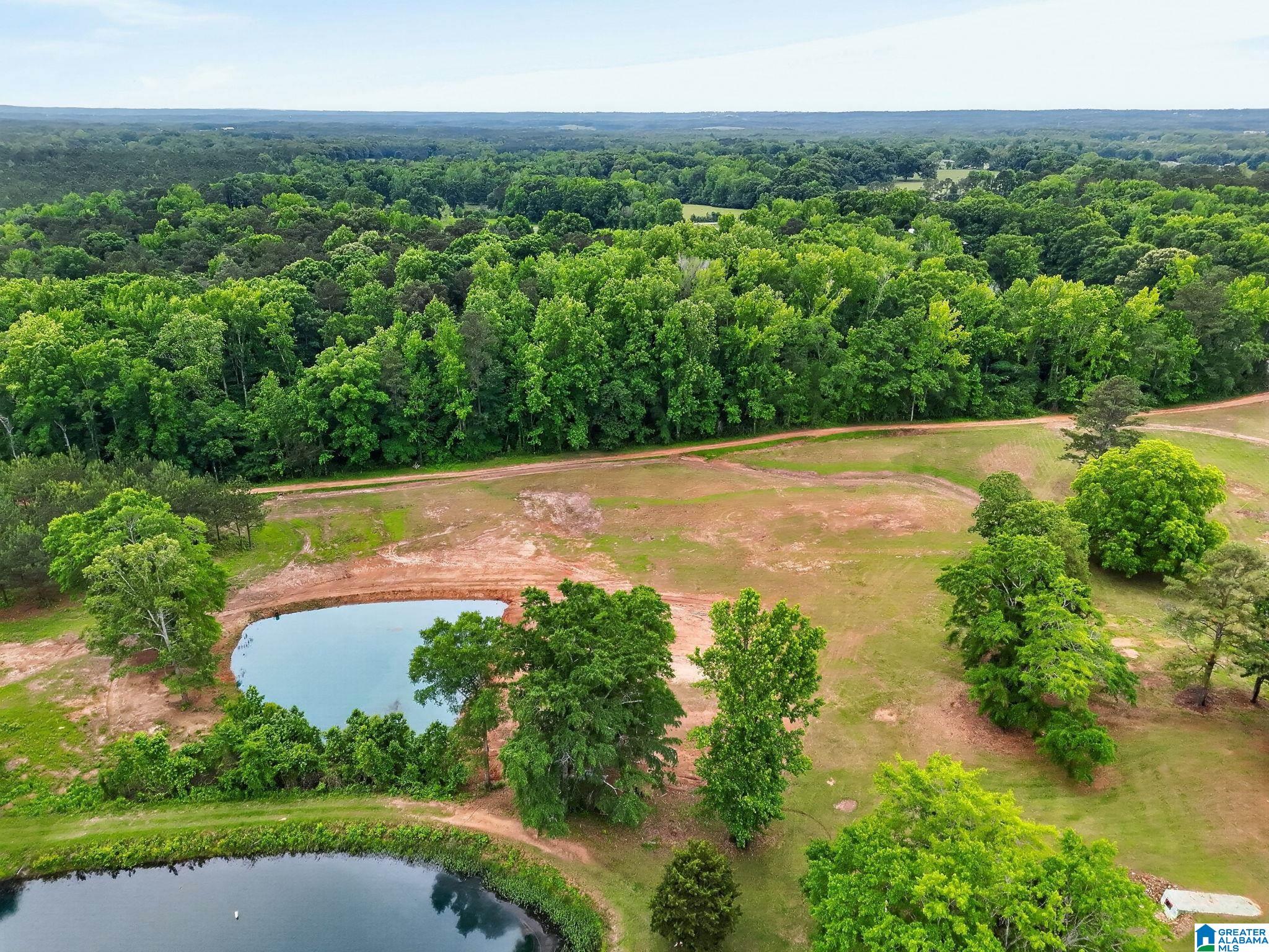 0 COUNTY ROAD 491 1 - Photo 2