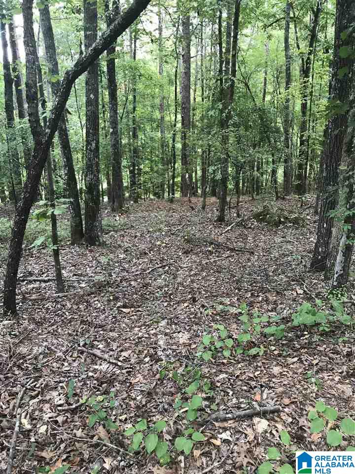 Photo 1 of 1 — AURORA CIRCLE 14, ALPINE, AL 35014