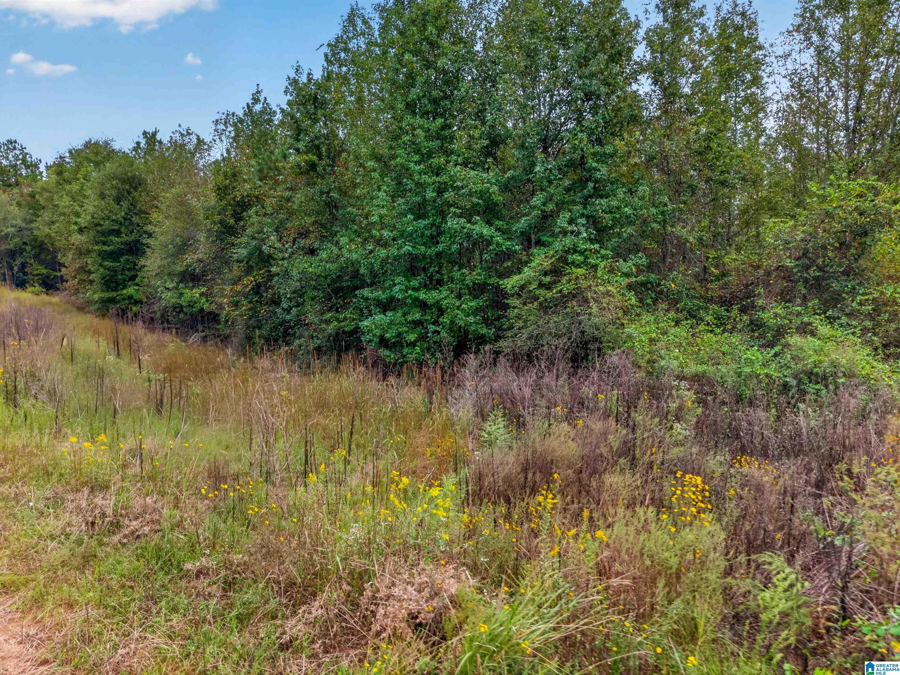 11 acres LANDMARK ROAD 0