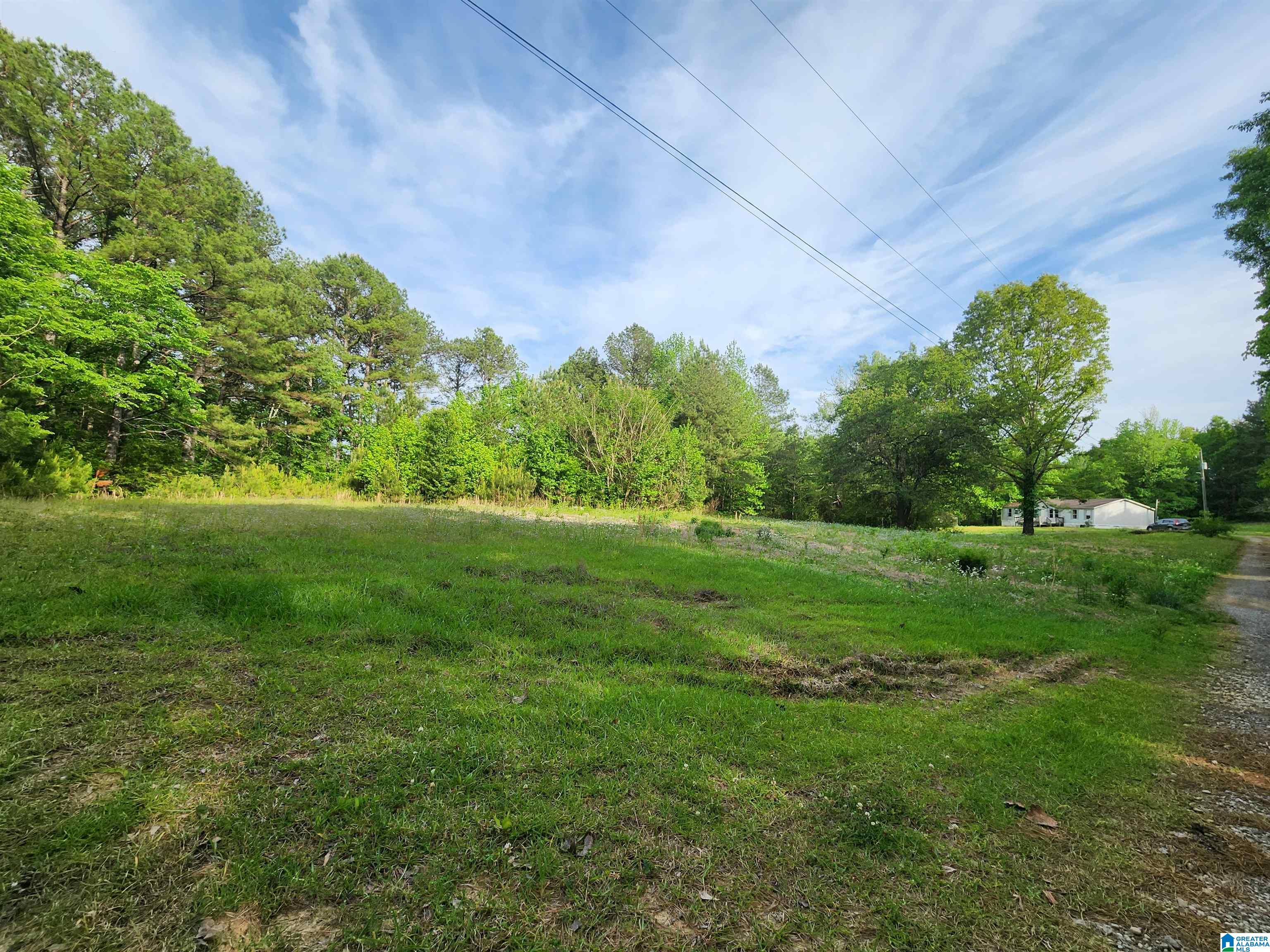 2213 MORRIS MAJESTIC ROAD 9