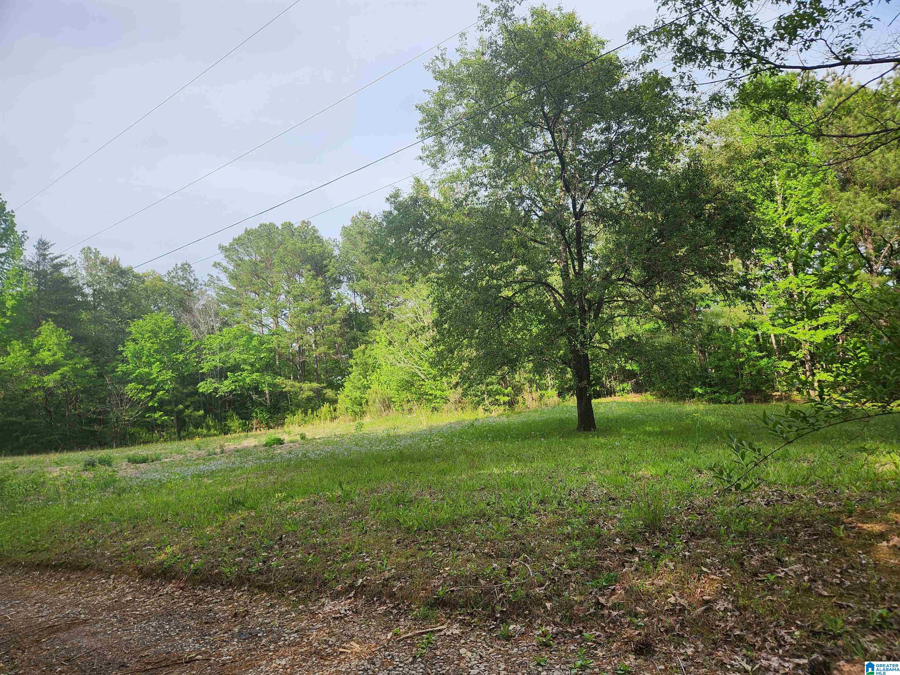 2213 MORRIS MAJESTIC ROAD 9