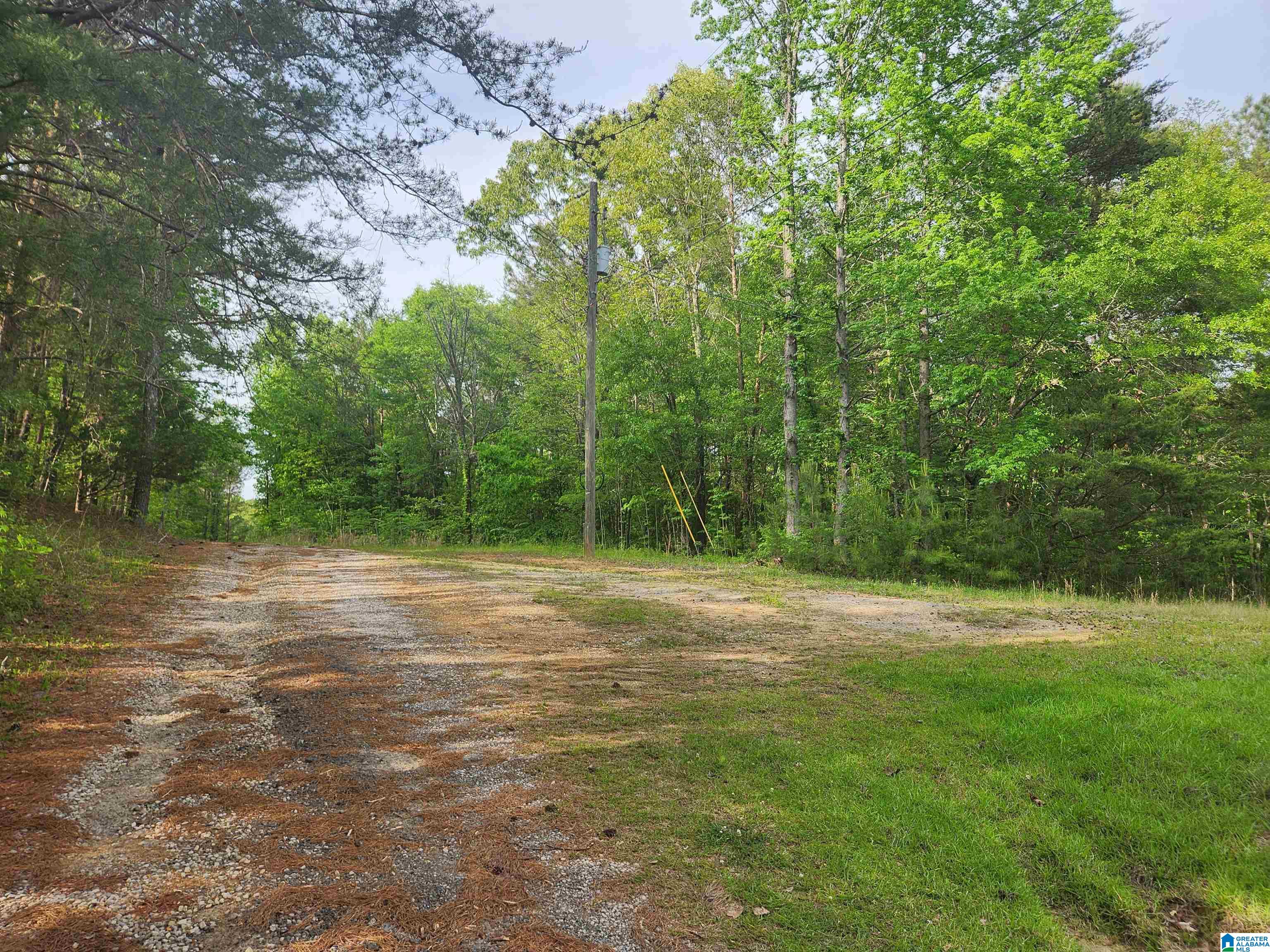 2213 MORRIS MAJESTIC ROAD 9