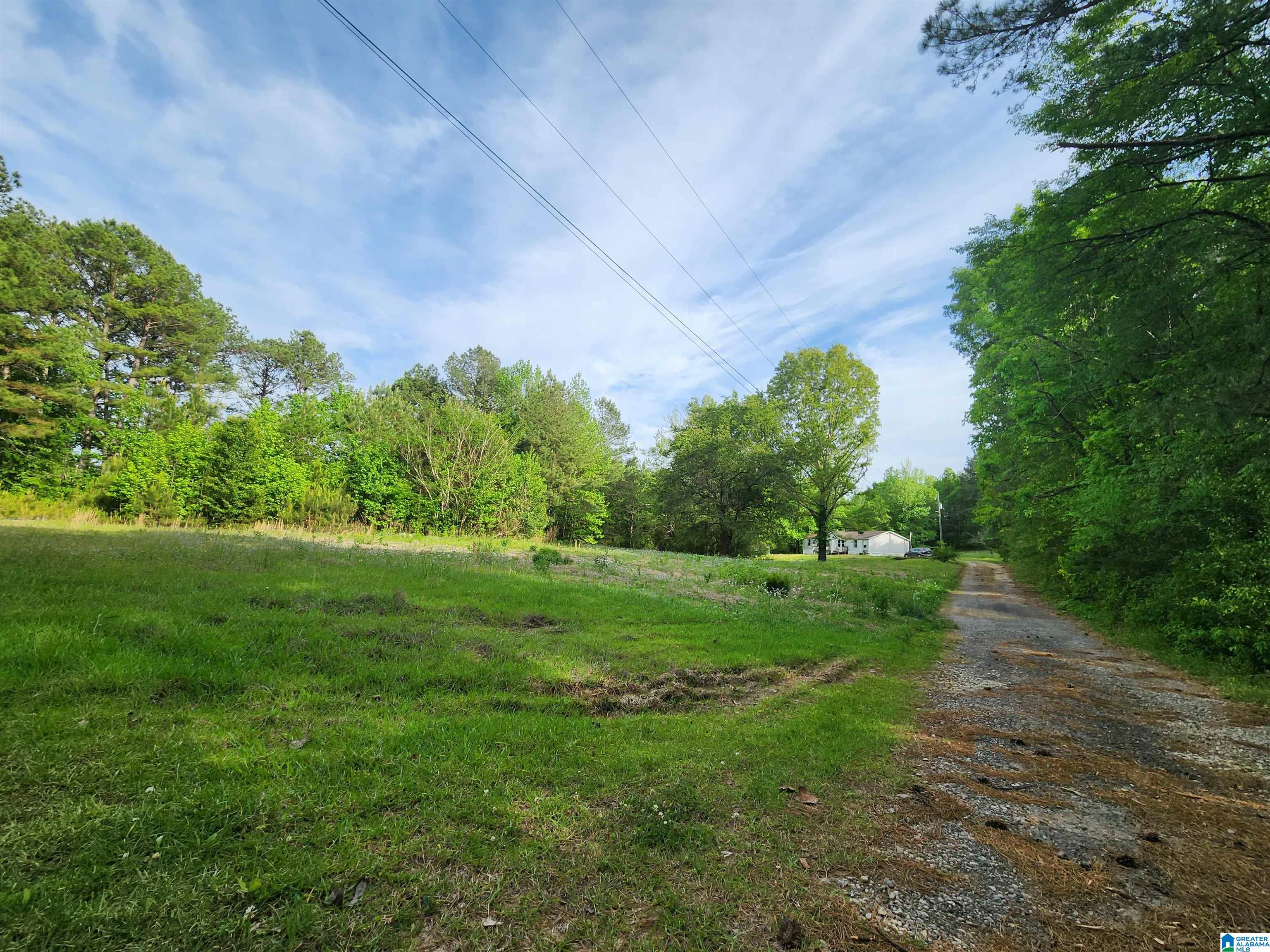 2213 MORRIS MAJESTIC ROAD 9