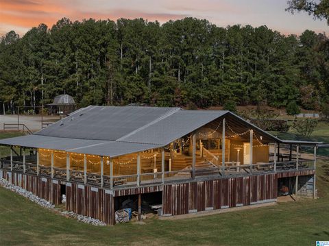 3463 COUNTY ROAD 3 DELTA AL 36258