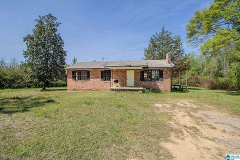 1111 SILVER RUN ROAD MUNFORD AL 36268