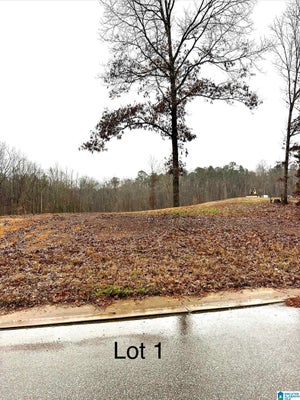 25 OLIVIA LN # 1, WOODSTOCK, AL 35188 - Image c2b1bd8a438f117c1d8b2ebc657b3bcb/486182271
